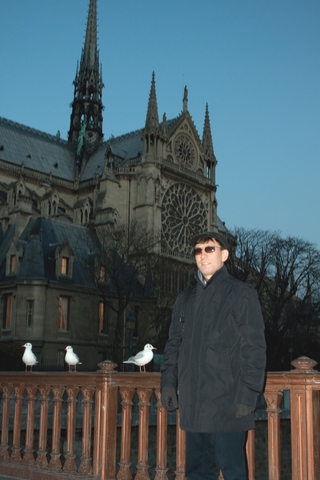 2012-12-11-gulls.jpg