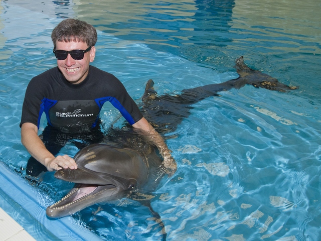 2013-10-01-dolphin.jpg