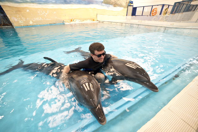 2013-10-01-dolphins.jpg