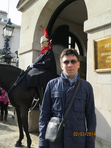 2014-03-02-horseguard.jpg