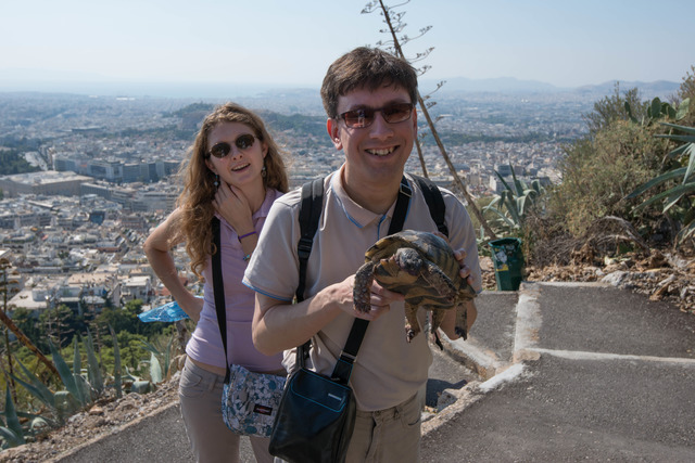 2014-10-10-turtle.jpg