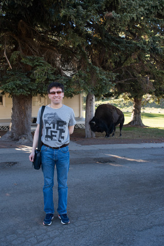 2017-05-03-bison.jpg