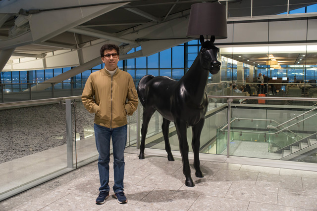 2017-05-11-heathrow-horse.jpg