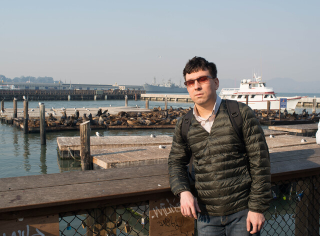 2018-11-09-seaside-lions.jpg