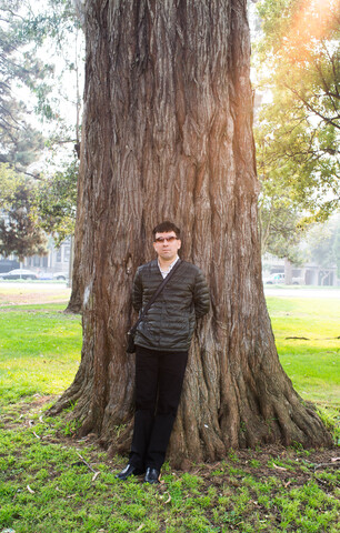 2018-11-11-sf-part-tree.jpg