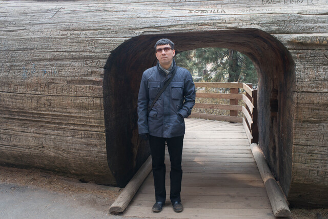 2018-11-12-sequoia-empty-tree.jpg
